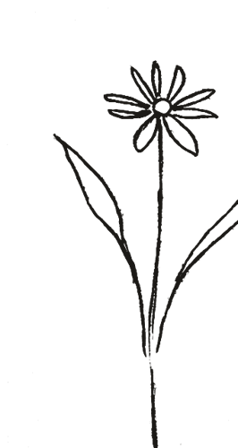 Blumen-Motiv